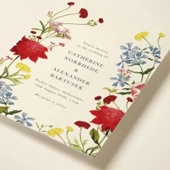 Wildflower