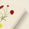 Wildflower