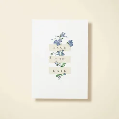 Wildflower Blooms