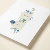 Wildflower Blooms