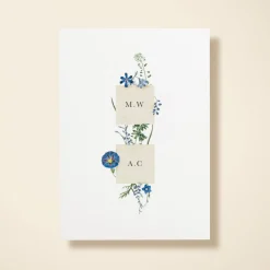Wildflower Blooms