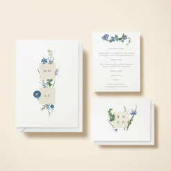Wildflower Blooms