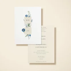 Wildflower Blooms