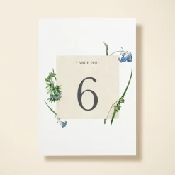 Wildflower Blooms