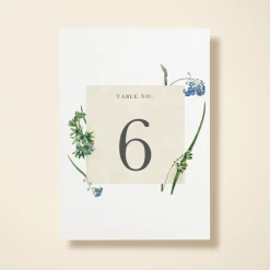 Wildflower Blooms