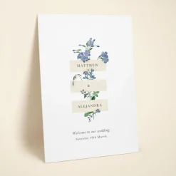 Wildflower Blooms
