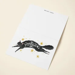 Witch Cat