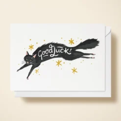 Witch Cat