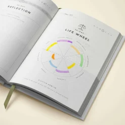Wonder