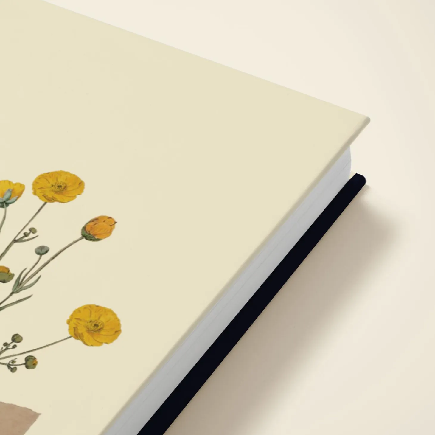 Yellow Buttercups