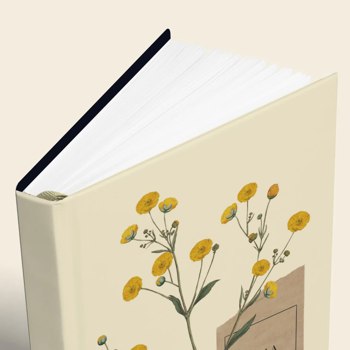 Yellow Buttercups