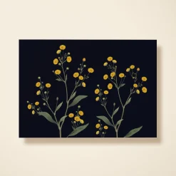 Yellow Buttercups