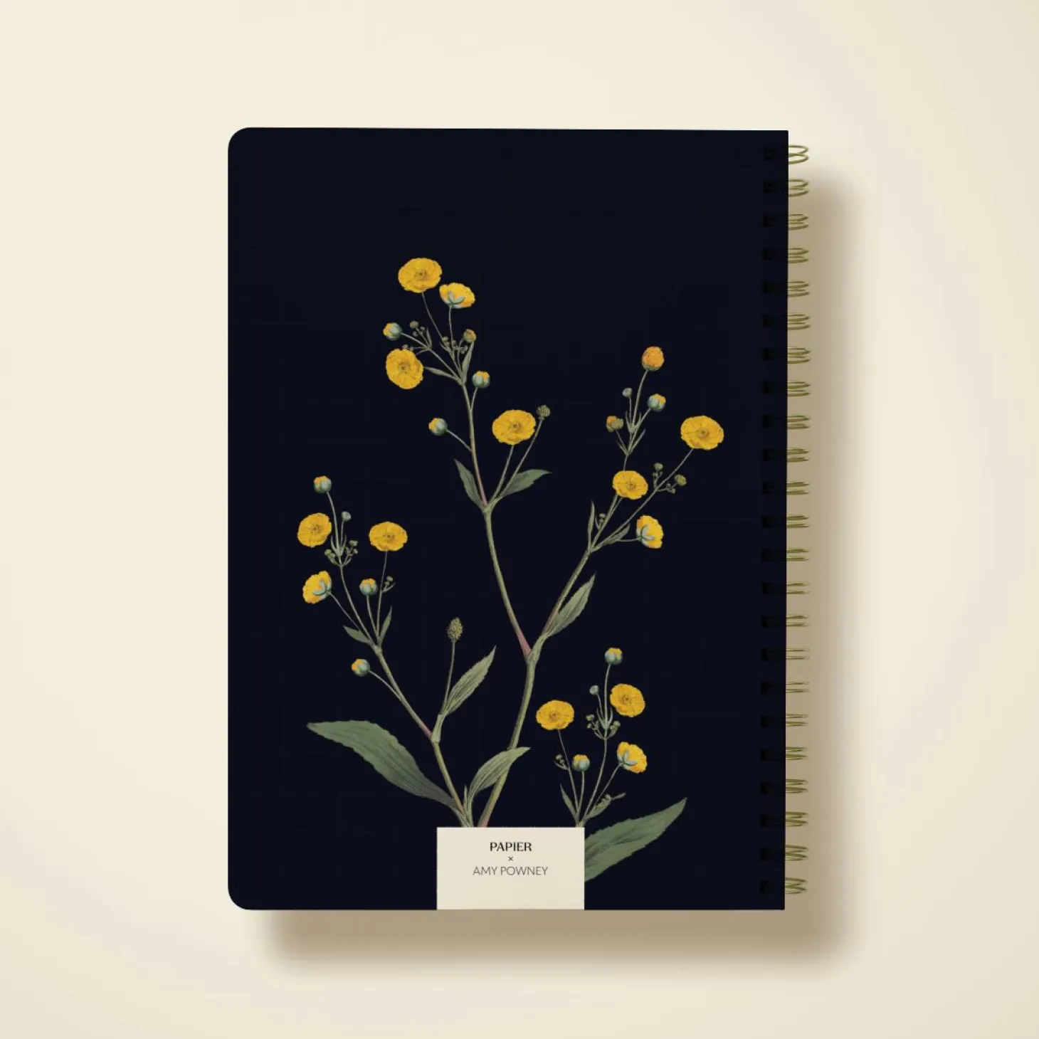 Yellow Buttercups