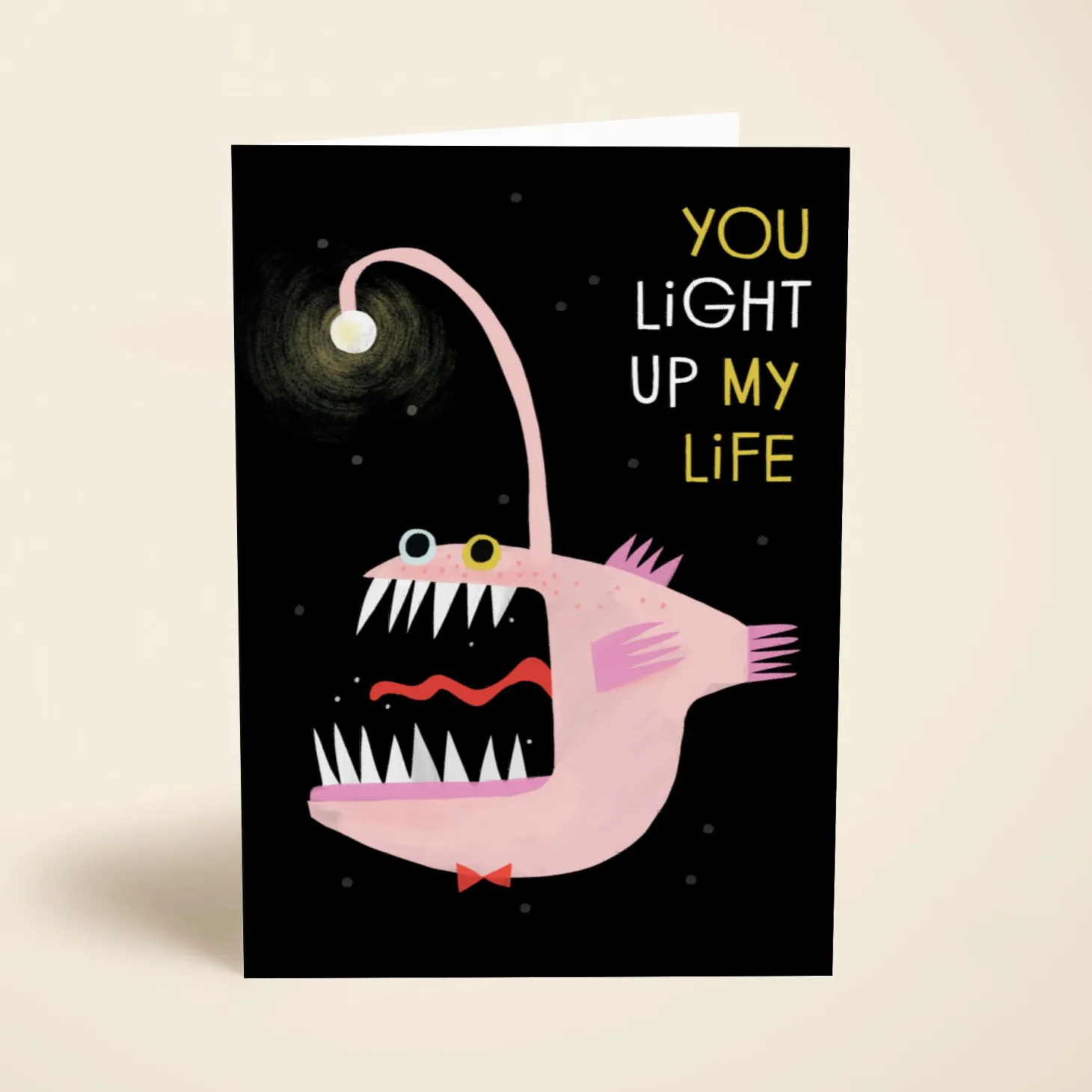 You Light Up My Life