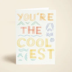 You're the Coolest
